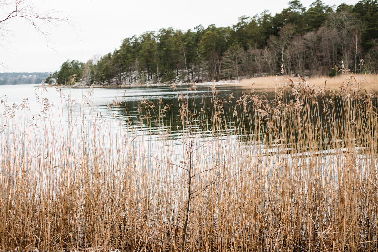 sweden_deersphotography-1086