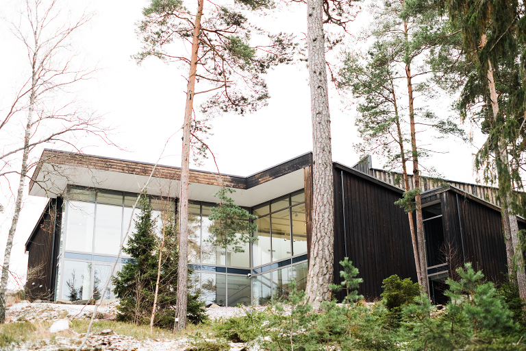 sweden_deersphotography-1088