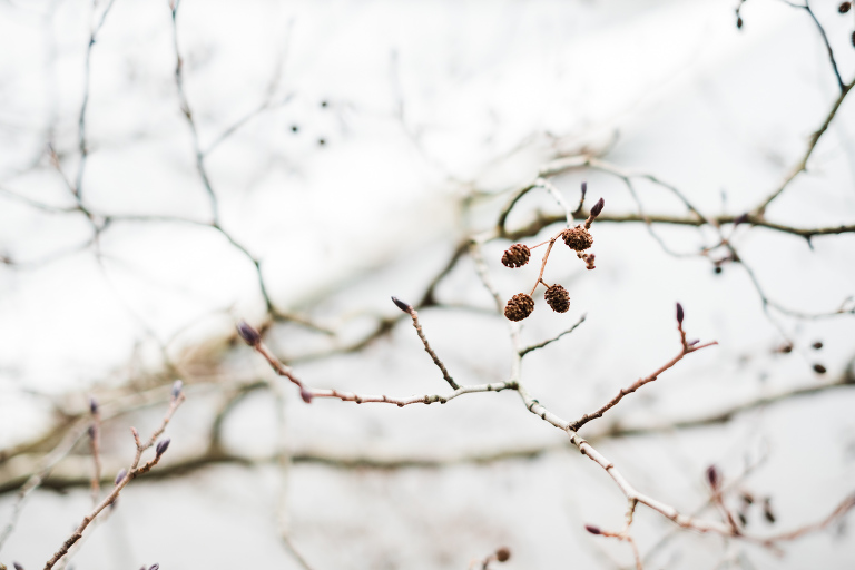 sweden_deersphotography-1089