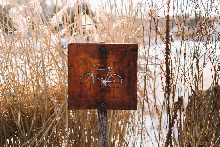 sweden_deersphotography-1107