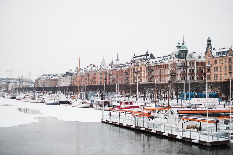 sweden_deersphotography-1117