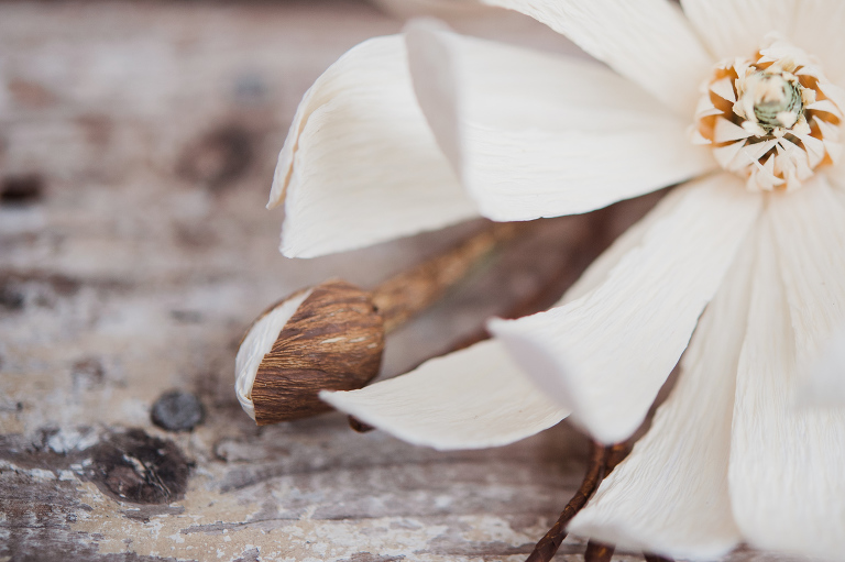 paper flowers_ deersphotography-194