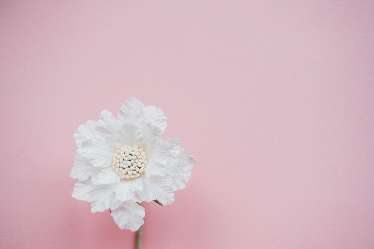 paper flowers_ deersphotography-197