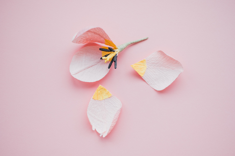 paper flowers_ deersphotography-201