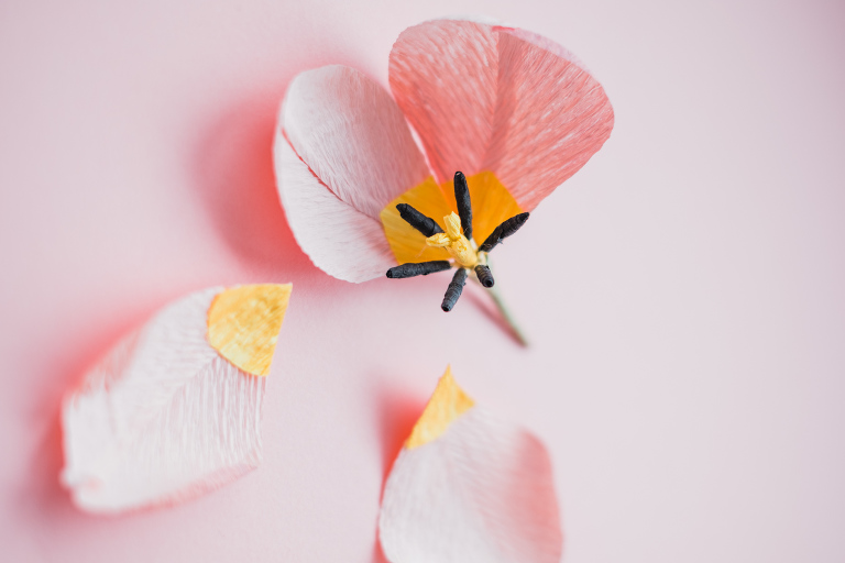 paper flowers_ deersphotography-202