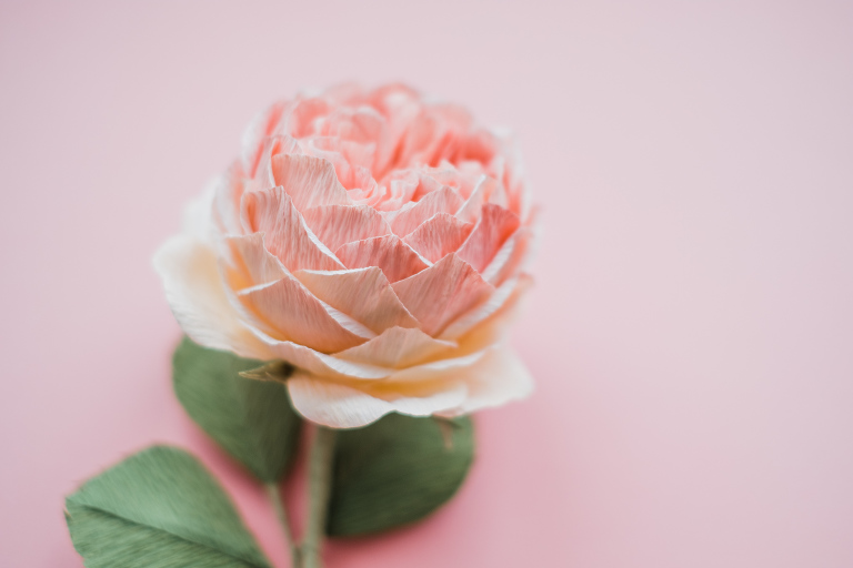 paper flowers_ deersphotography-204