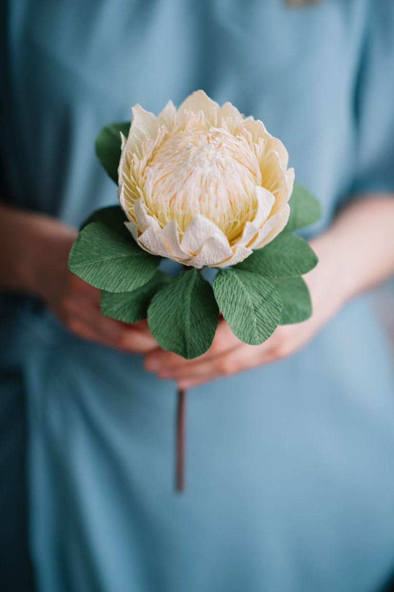 paper flowers_ deersphotography-215