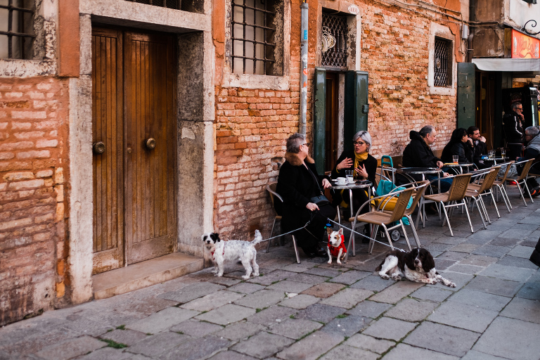 Venice_deersphotography-102