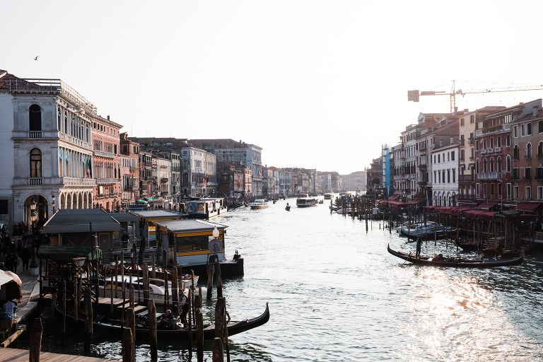 Venice_deersphotography-105