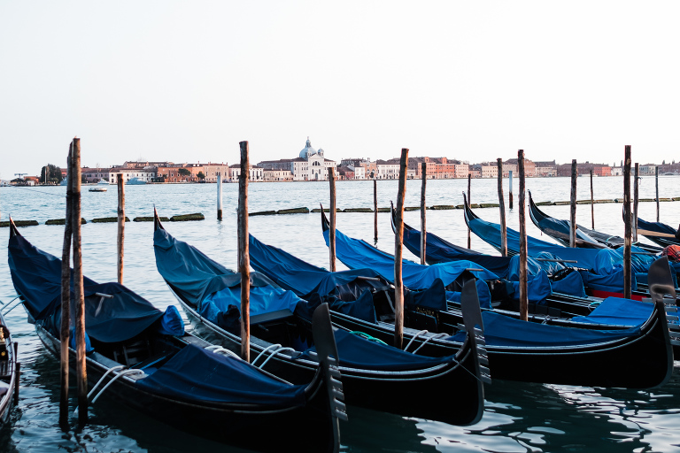 Venice_deersphotography-125