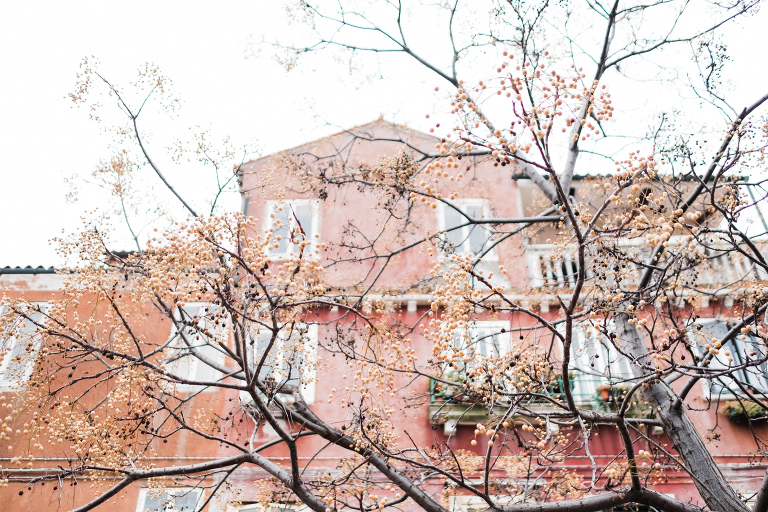 Venice_deersphotography-135