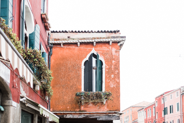 Venice_deersphotography-137