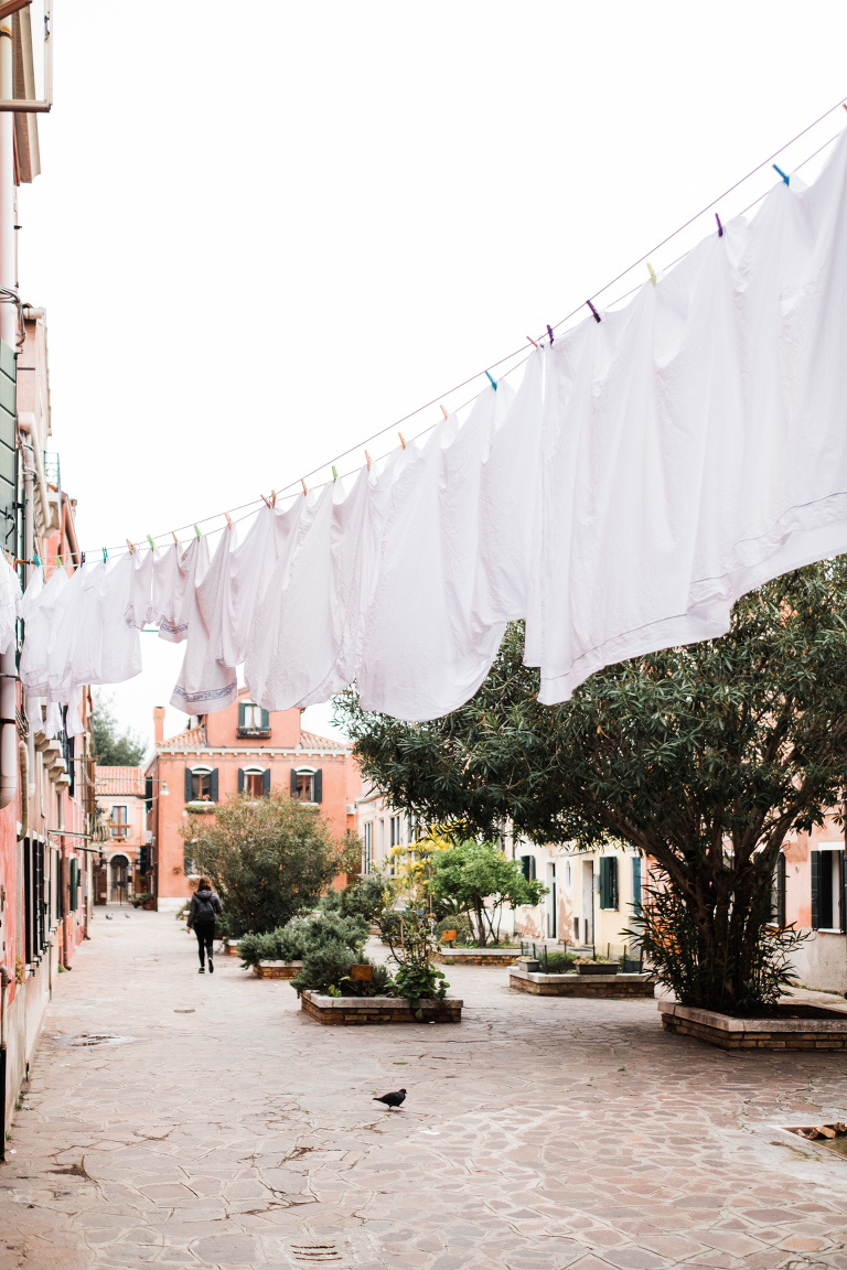 Venice_deersphotography-159