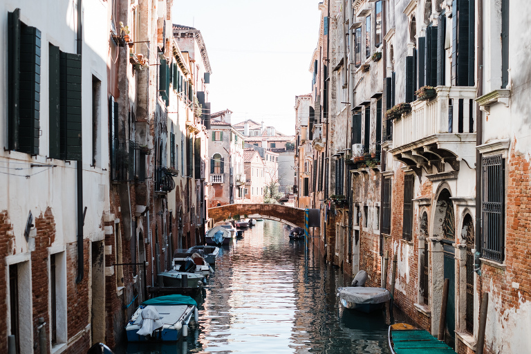 Venice_deersphotography-299