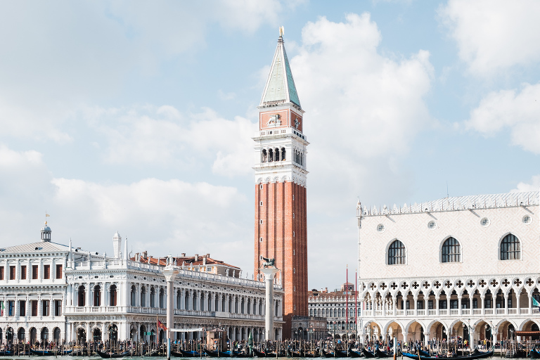 Venice_deersphotography-305